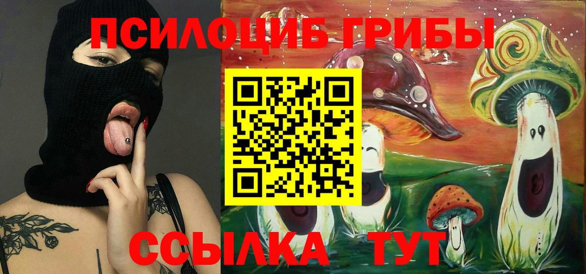 наркота  Вход с VPN  Арсеньев  Псилоцибиновые грибы прущие грибы 